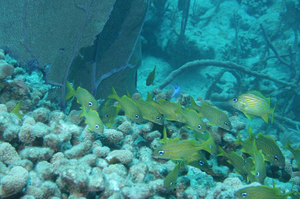 2008-05-19 17-40-05 H.JPG